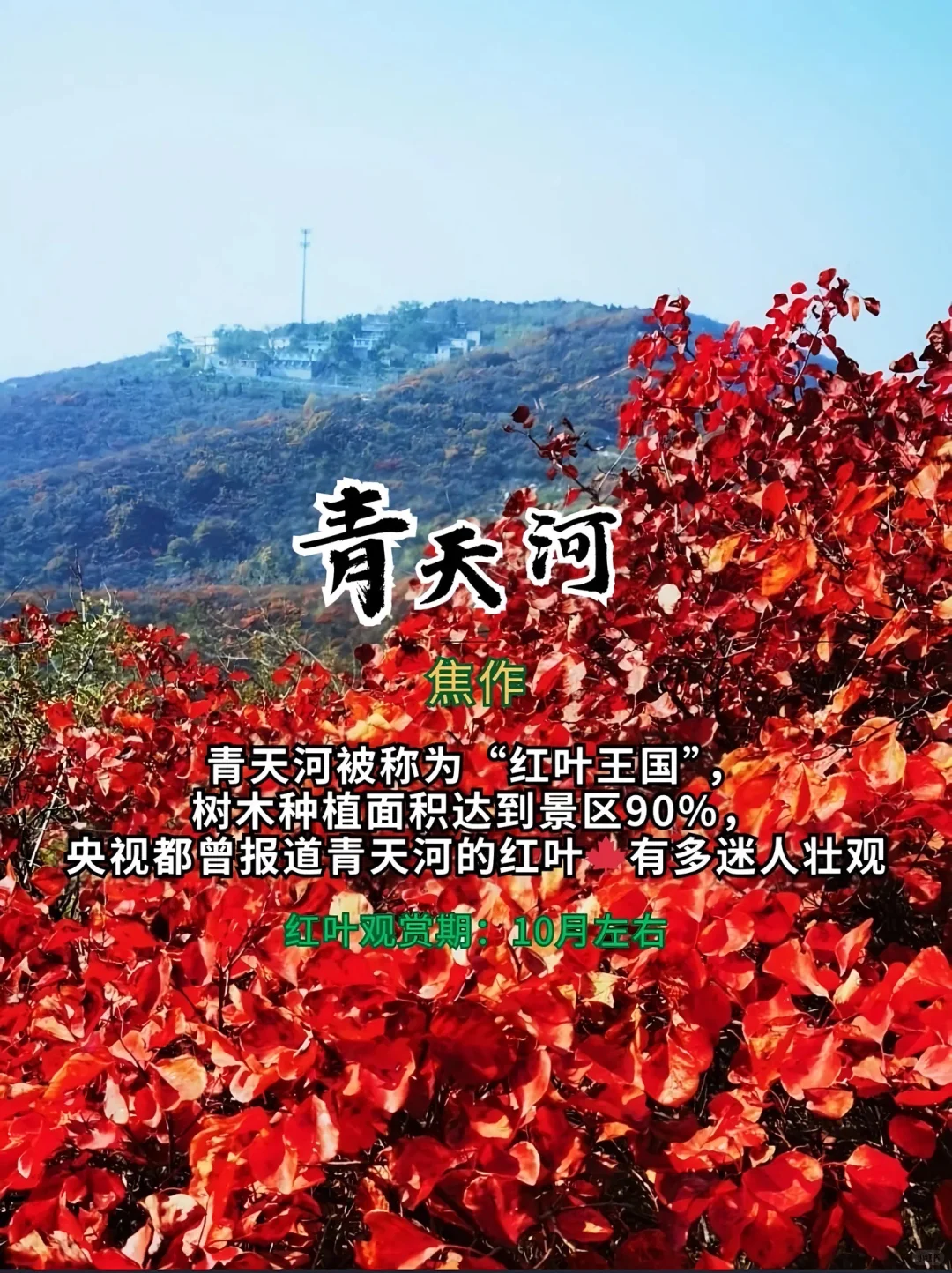 打卡！河南红叶赏秋攻略来了