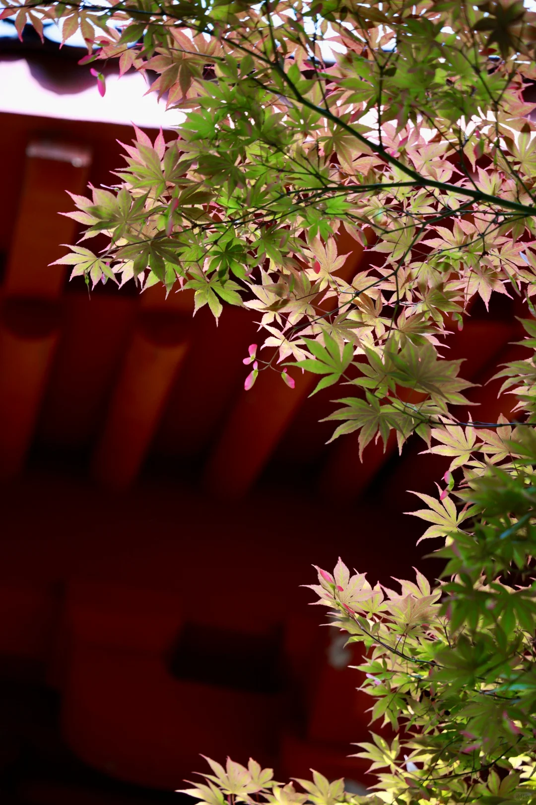 杭州最美的地方并不在西湖