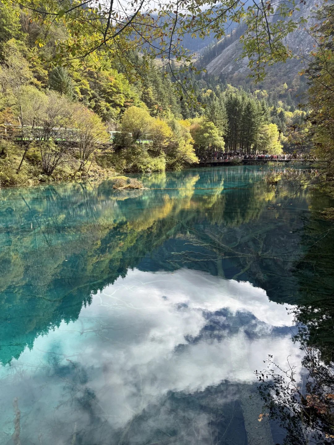 九寨沟不拥挤版超级详细攻略(10.22实况)