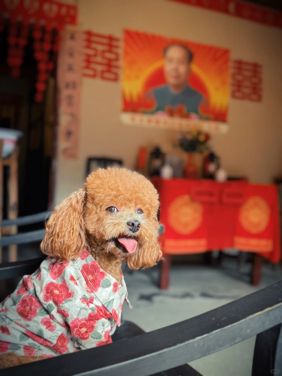 朱砂古镇/仿佛穿越到六七十年代！