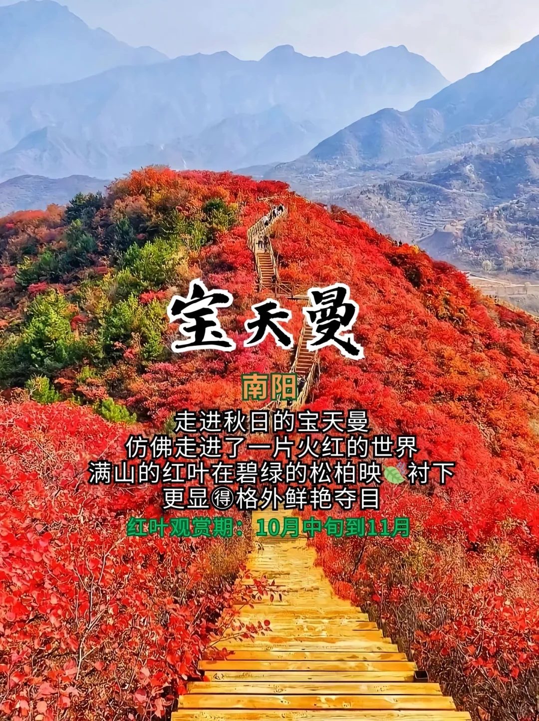 打卡！河南红叶赏秋攻略来了