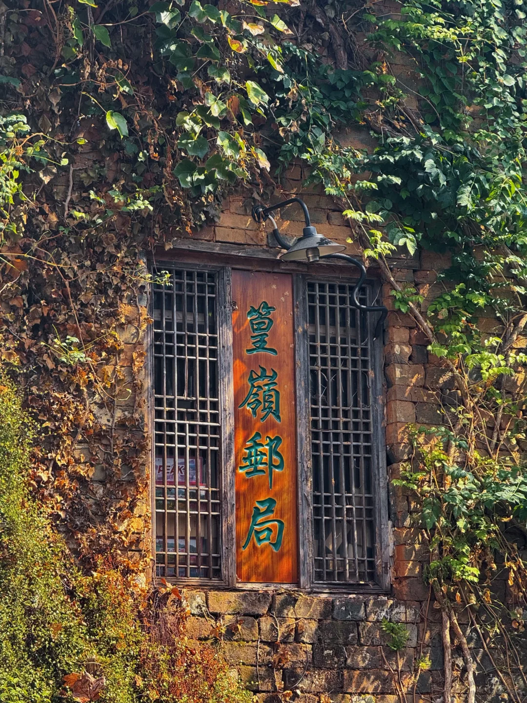 自驾冲篁岭太香了！露营看星空绝了