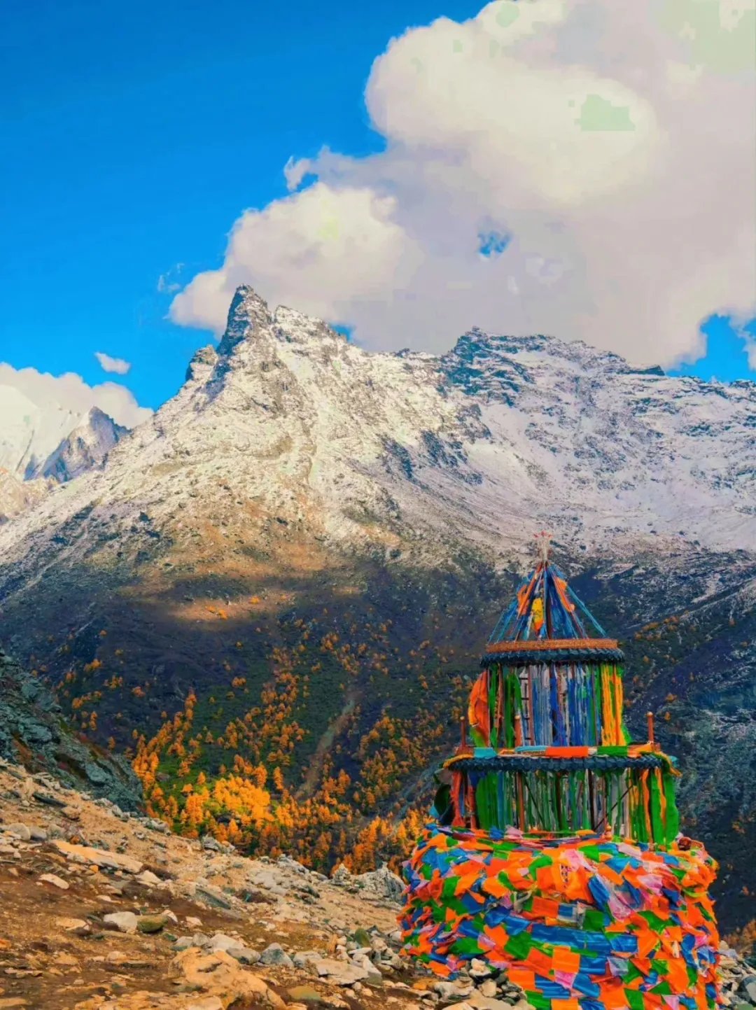 稻城亚丁的秋天，人间值得🍁