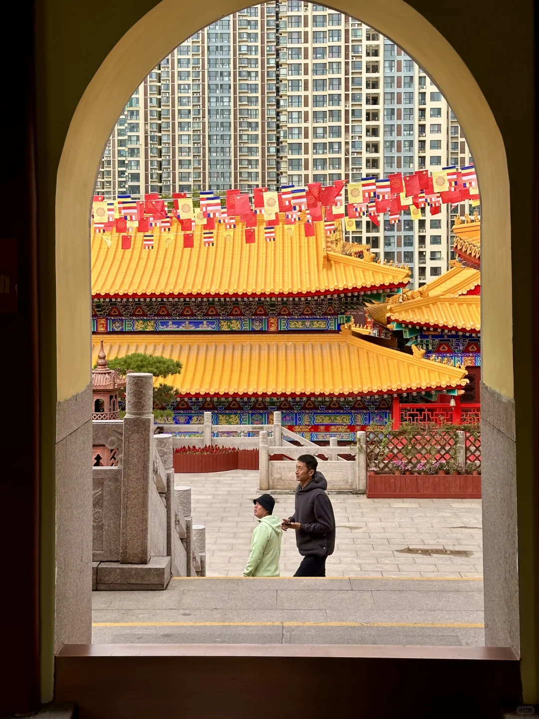 秋天🍂来青岛一定要做的1️⃣0️⃣件小事！！！！