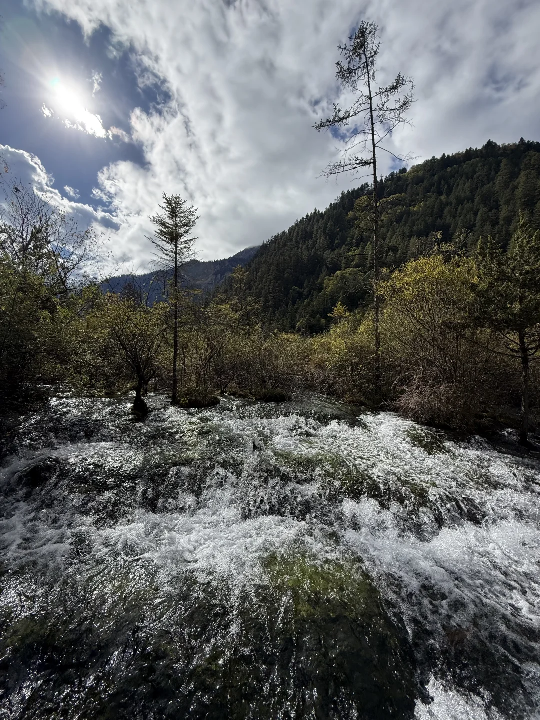 九寨沟不拥挤版超级详细攻略(10.22实况)