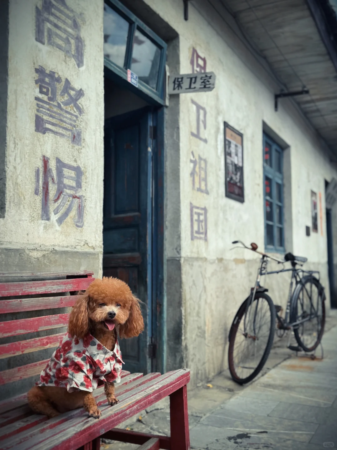 朱砂古镇/仿佛穿越到六七十年代！