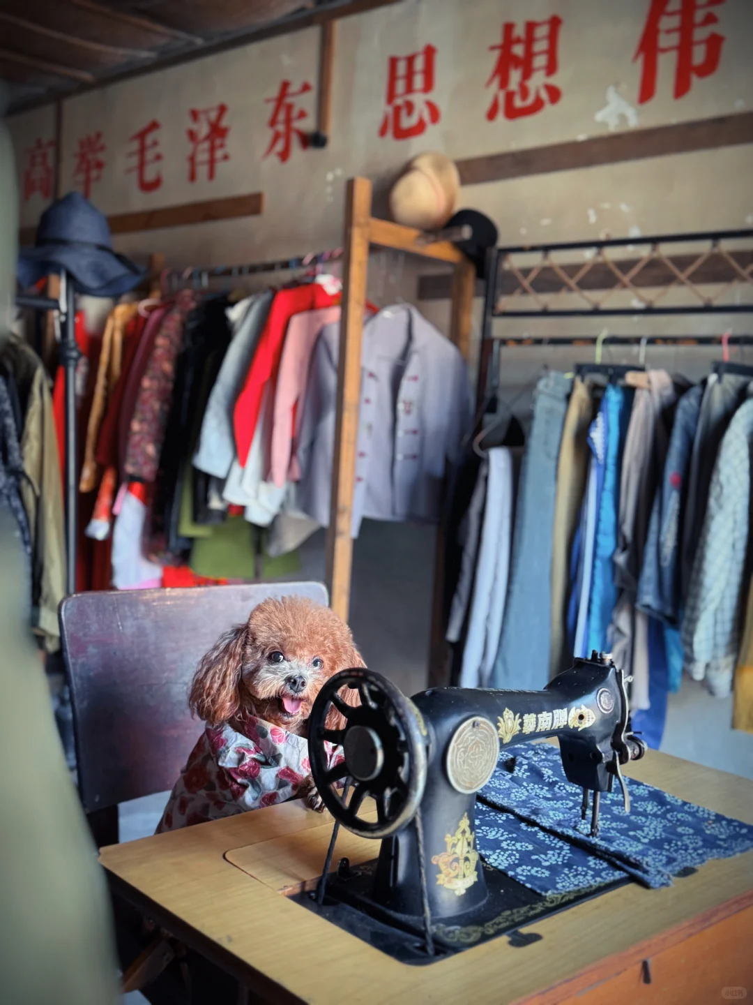 朱砂古镇/仿佛穿越到六七十年代！