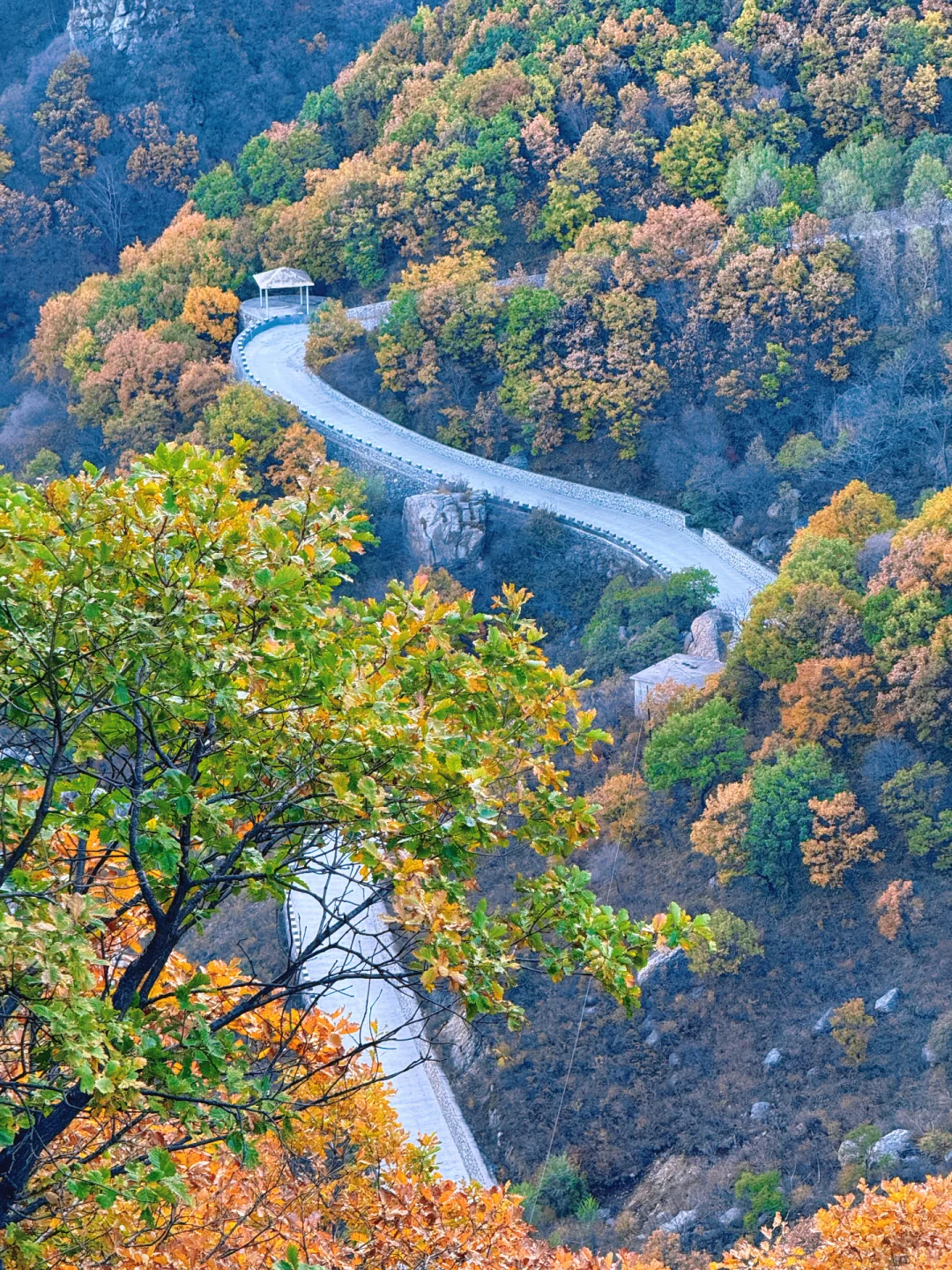 百瑞谷｜漫步在山川的调色盘里🎨在油画里❗️