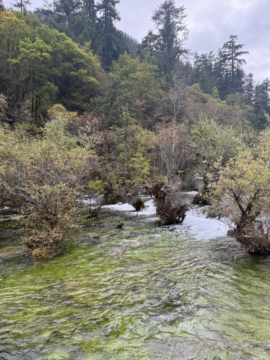 九寨沟不拥挤版超级详细攻略(10.22实况)