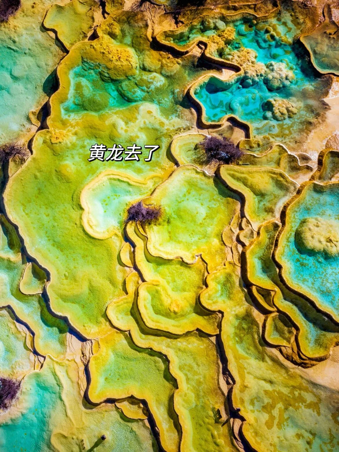 九寨沟即将迎来彩林季🍁真比日本震撼万倍！