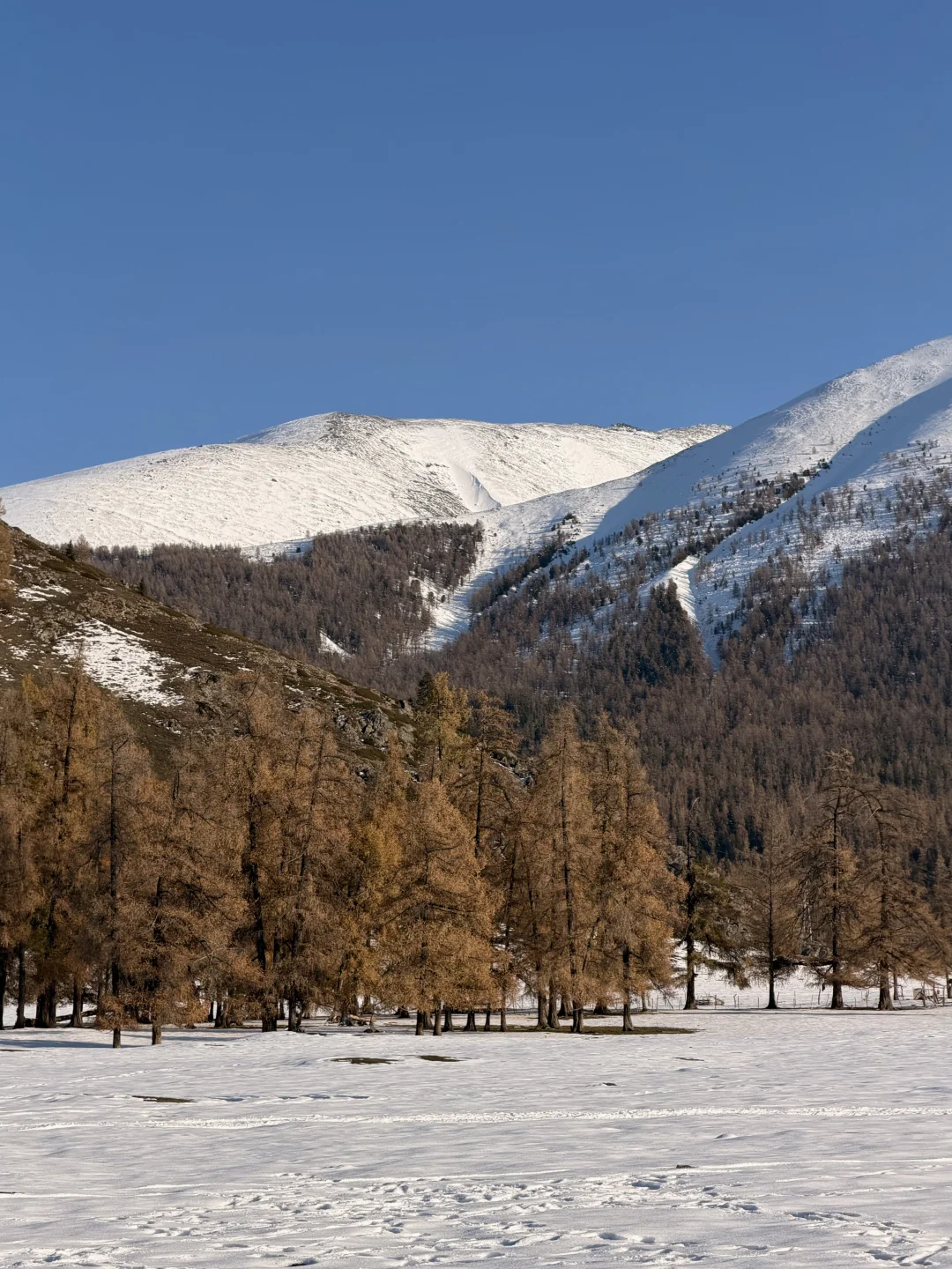 live丨终于来到了阿勒泰