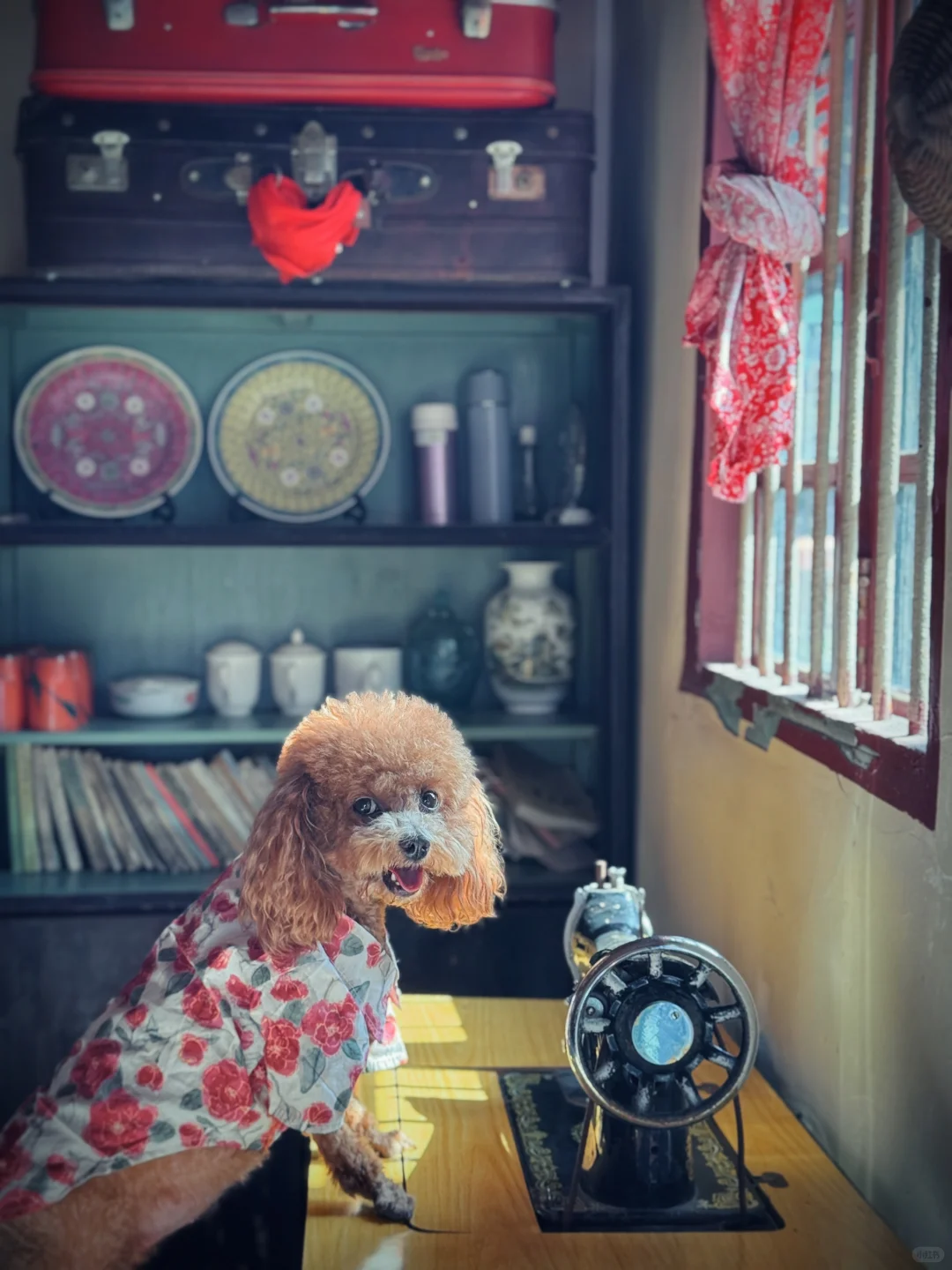 朱砂古镇/仿佛穿越到六七十年代！