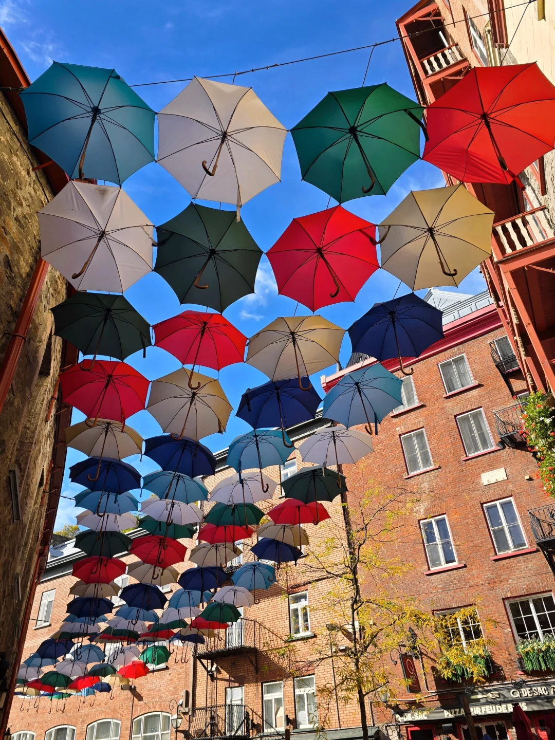 🇨🇦[魁北克城]网红景点必打卡全面清单