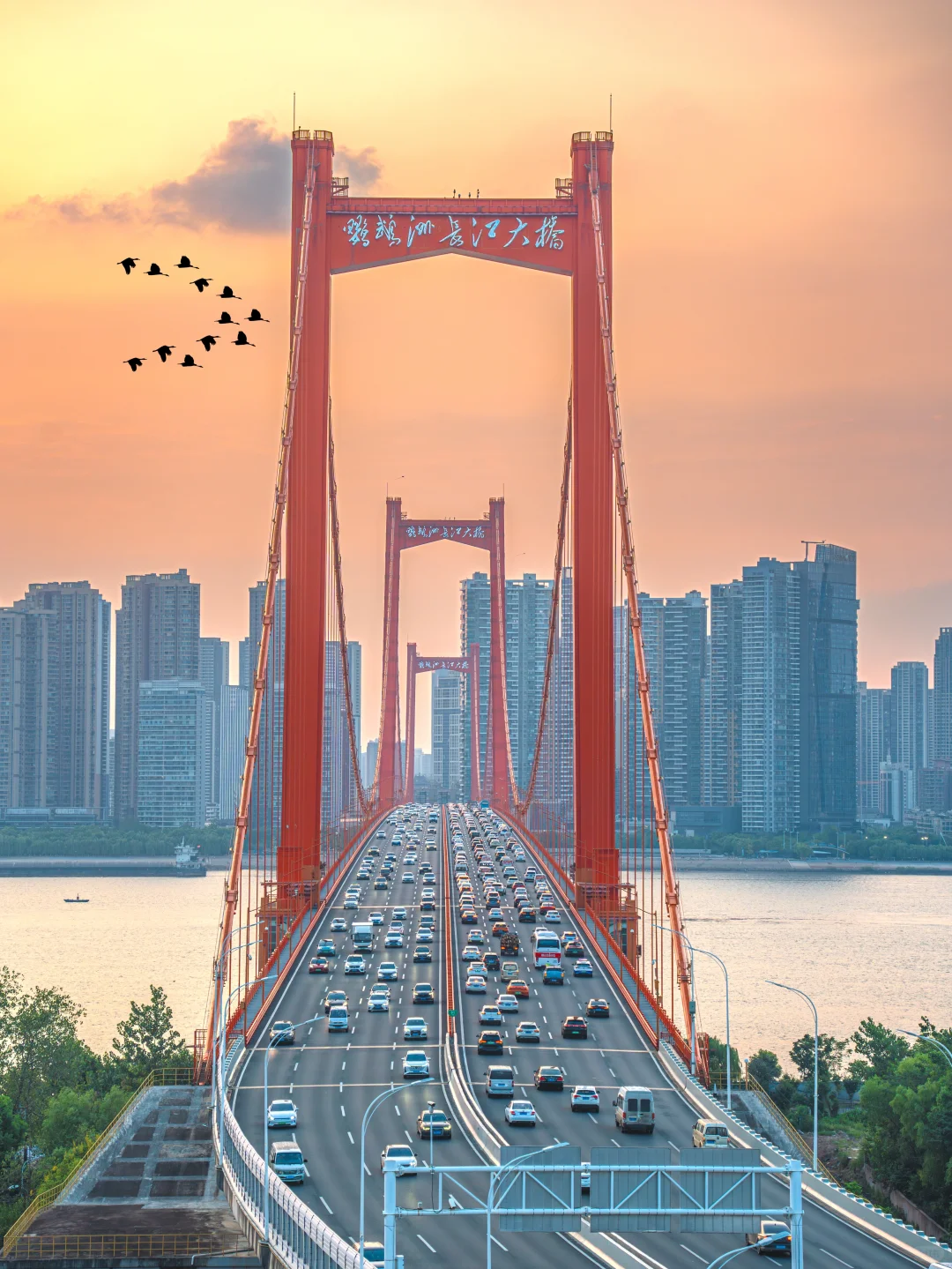 因为这1️⃣8️⃣张照片，我专门去了一趟武汉‼️