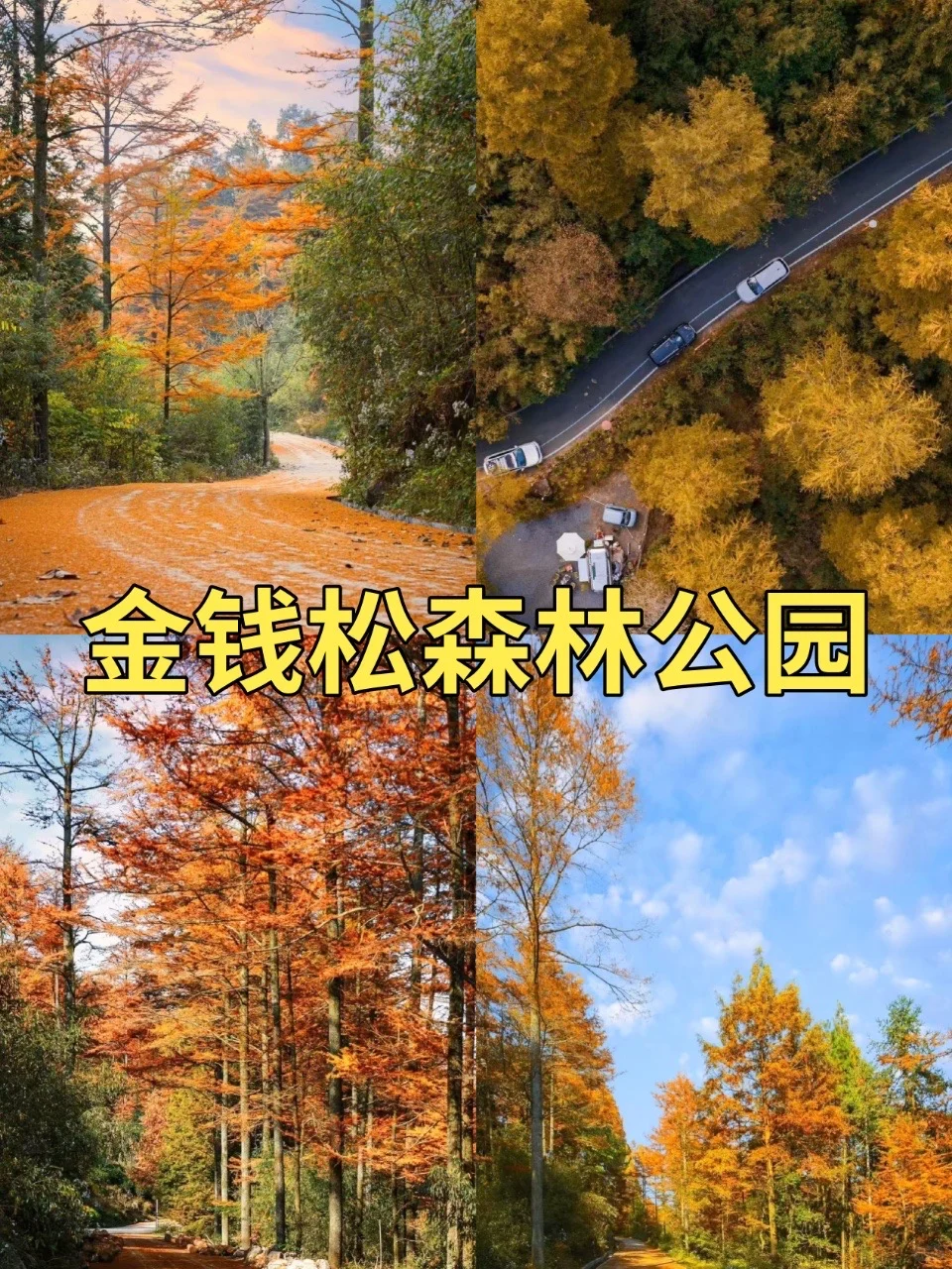 安吉秋景封神！这几处景点必冲🍂