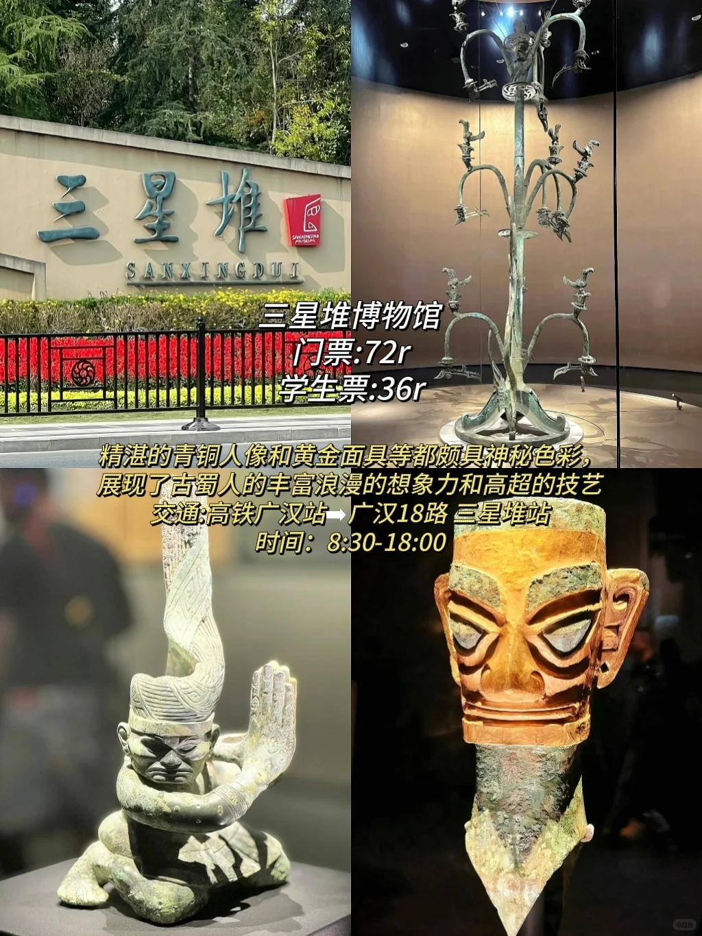 暑假旅游高考完不要浪费你的学生证‼️