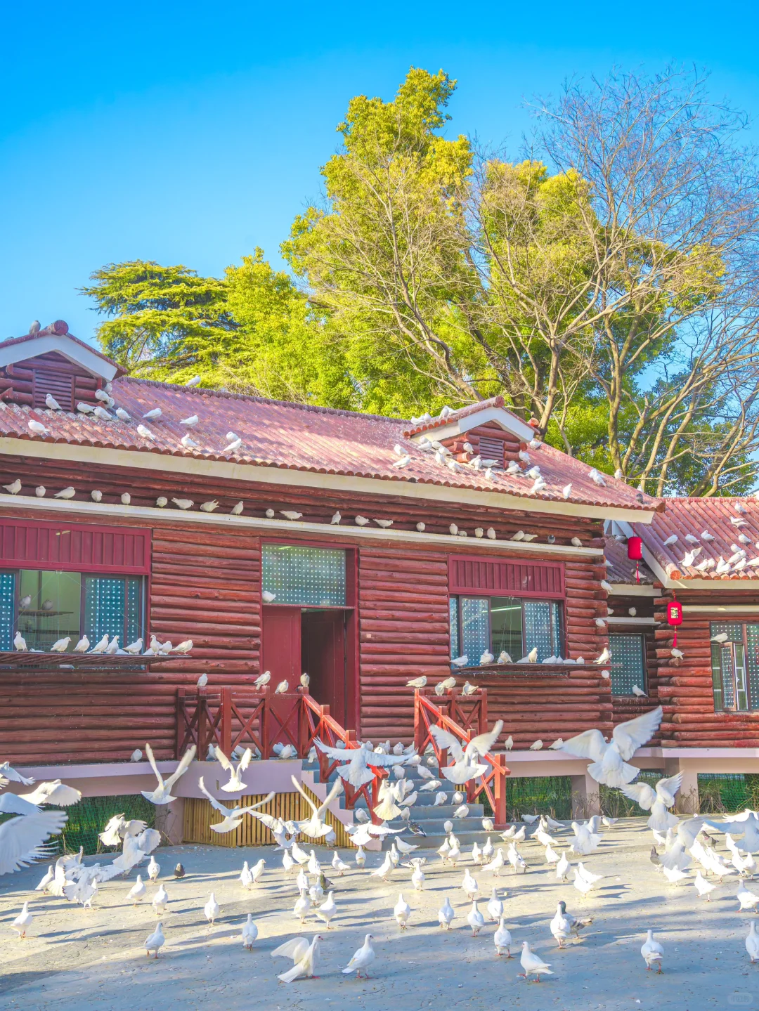 因为这1️⃣8️⃣张照片,我专门去了一趟武汉‼️