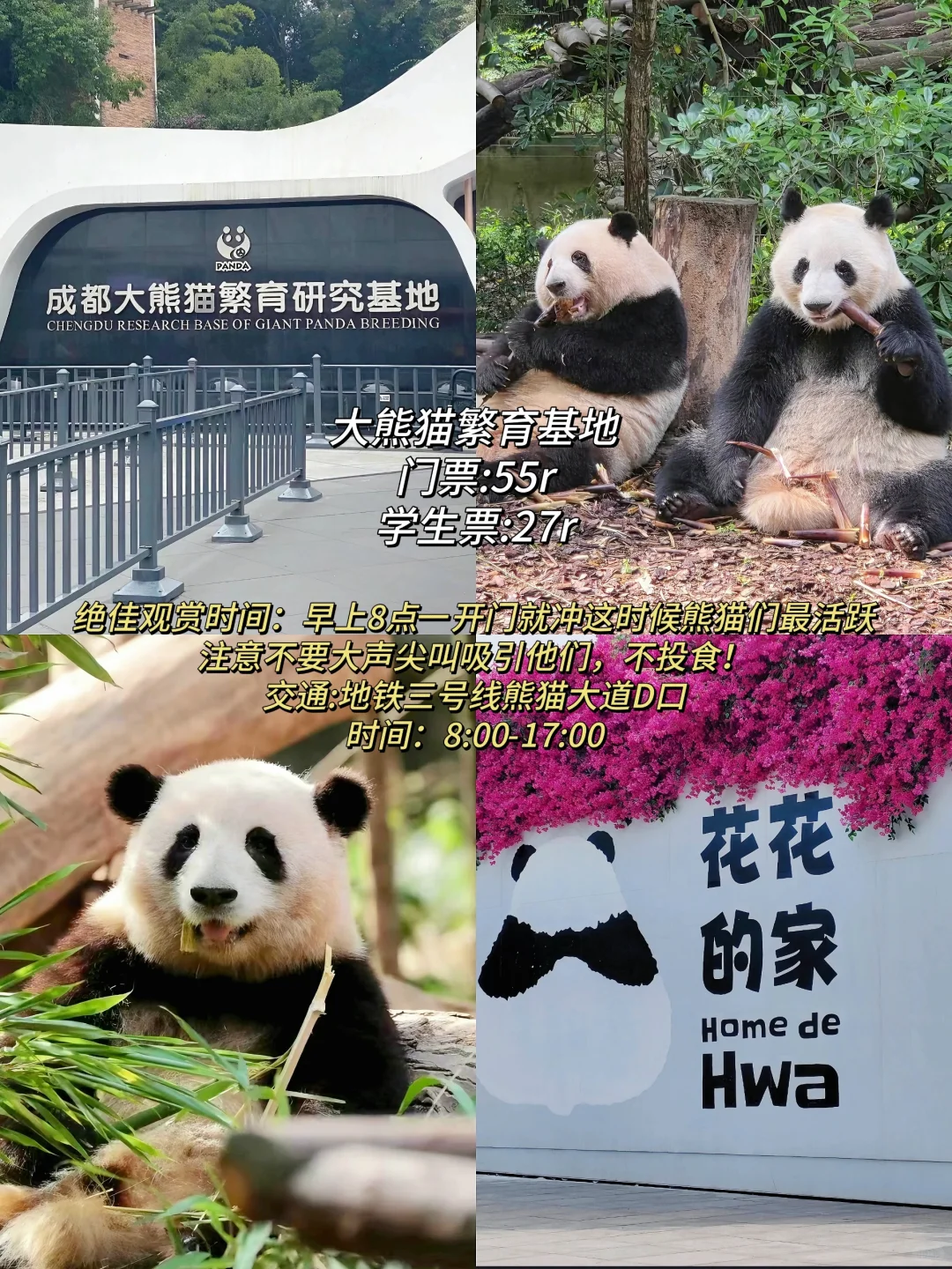 暑假旅游高考完不要浪费你的学生证‼️