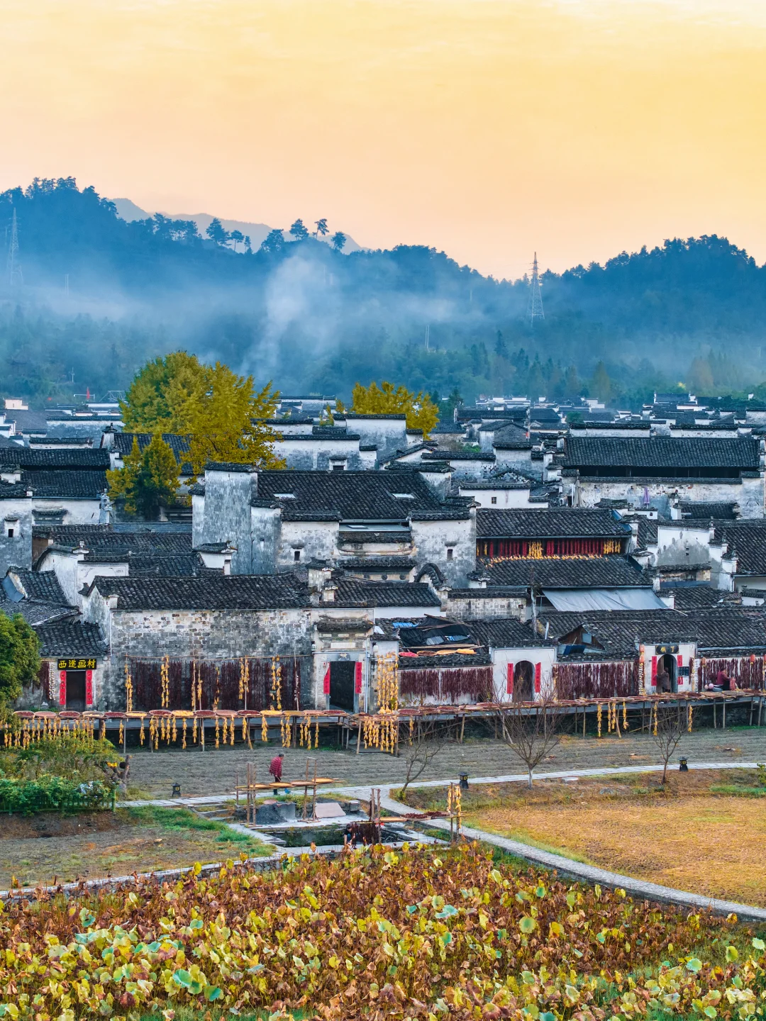 迄今为止😭我Z喜欢的秋日小城，真怕他太火🔥