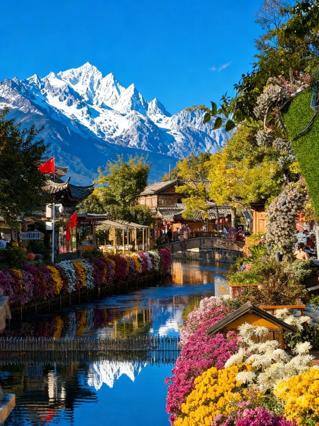 丽江 | 10月古城美的像幅画一样✨