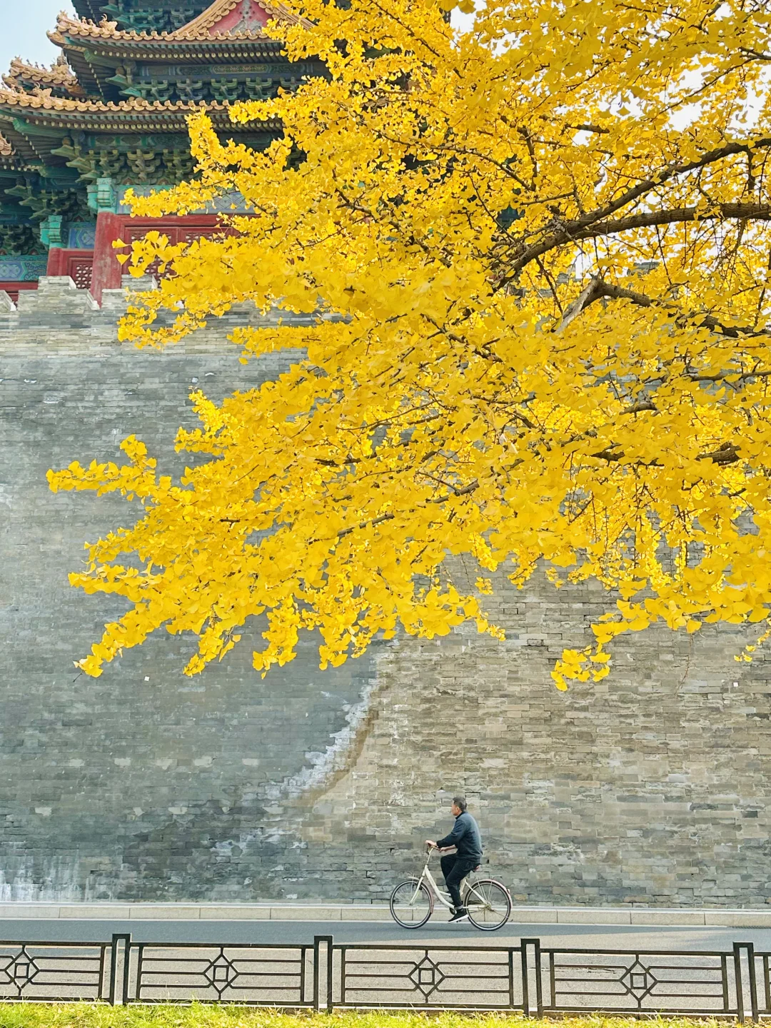 美翻天❗️18张live图看北京的秋天有多惊艳‼️