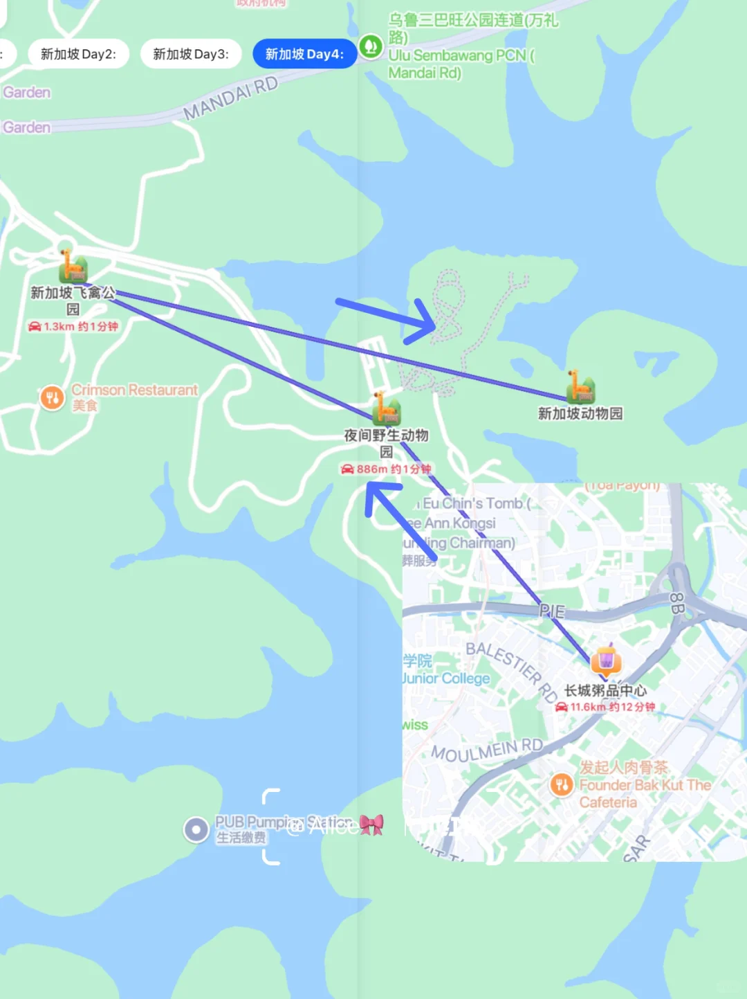 新加坡已回！J人对自己的旅游攻略很满意...
