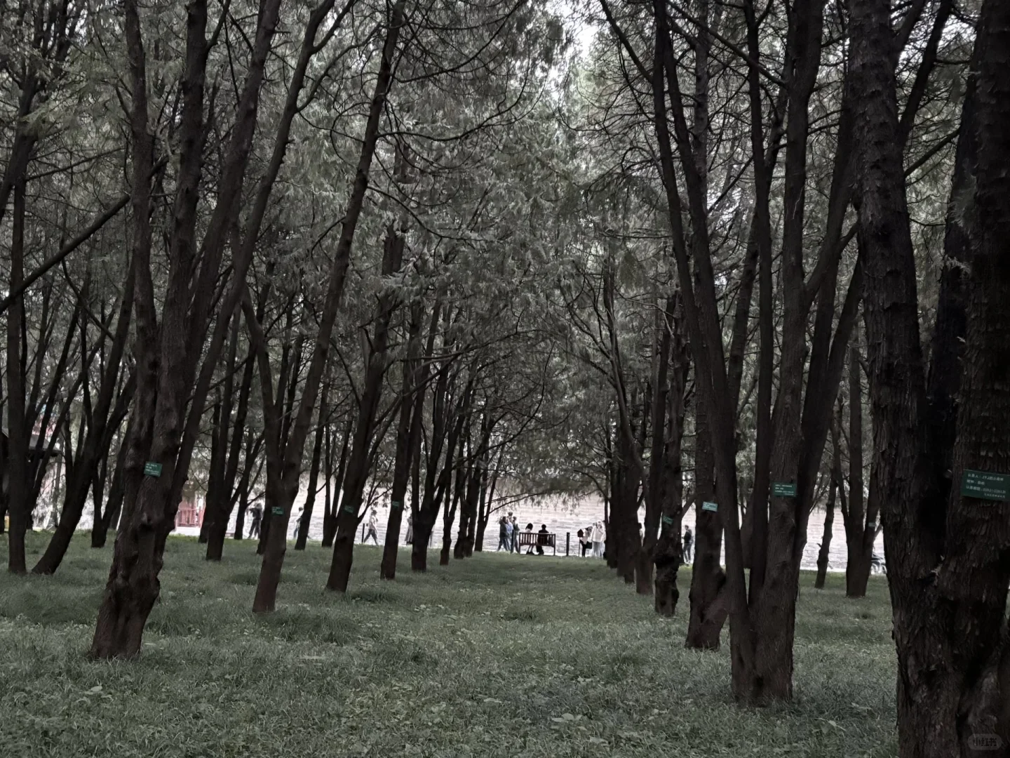 郑州大学生 北京之旅 爽之爽之