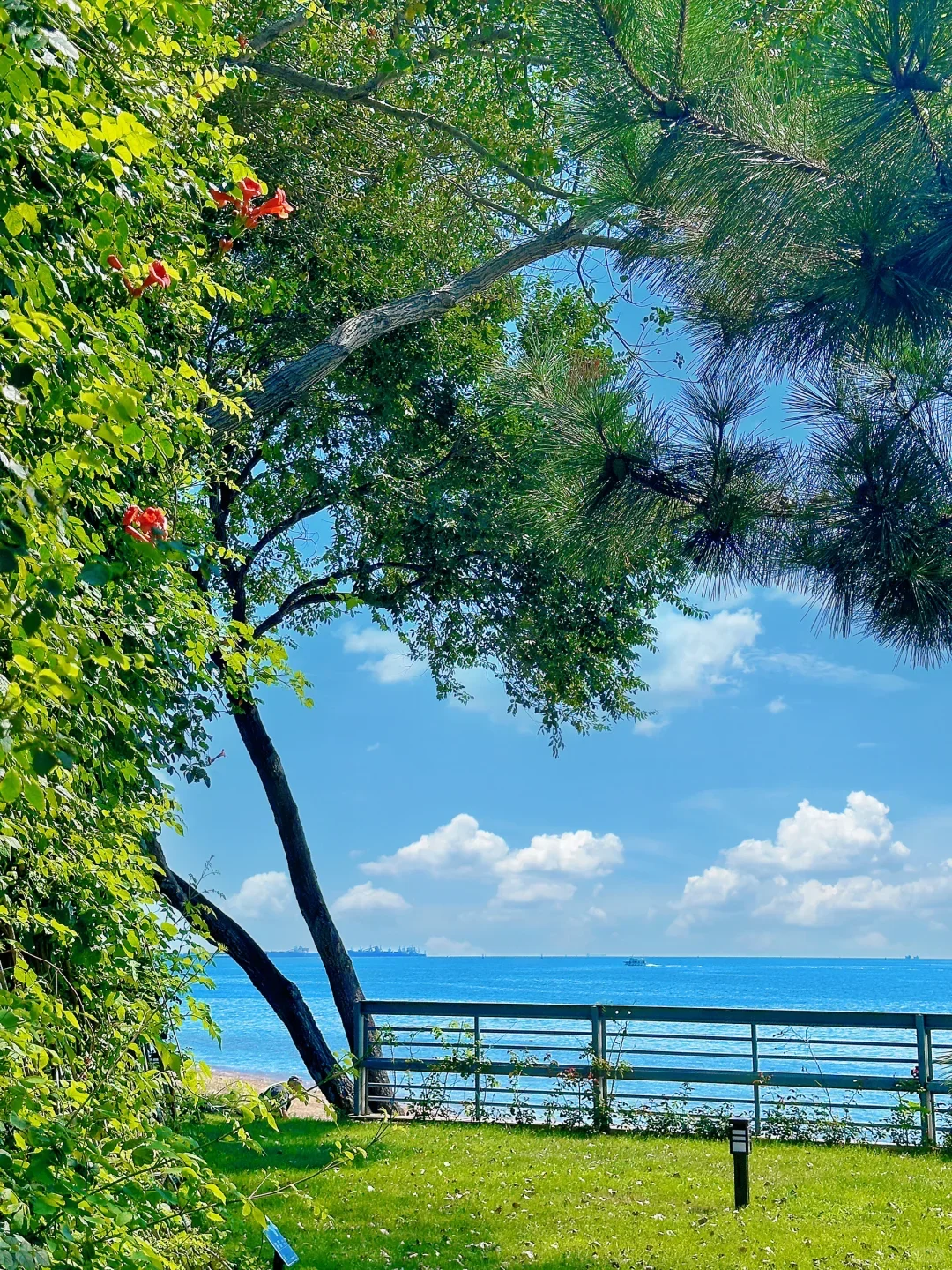 河北秦皇岛，真的是夏日的旅游打卡天堂！