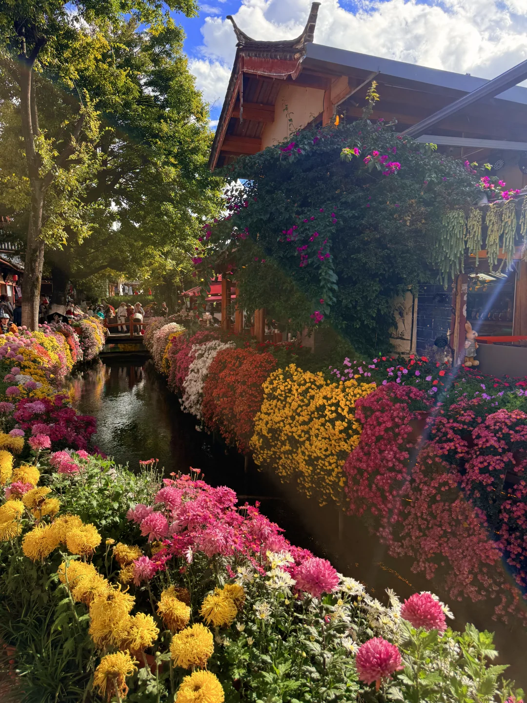 丽江 | 10月古城美的像幅画一样✨