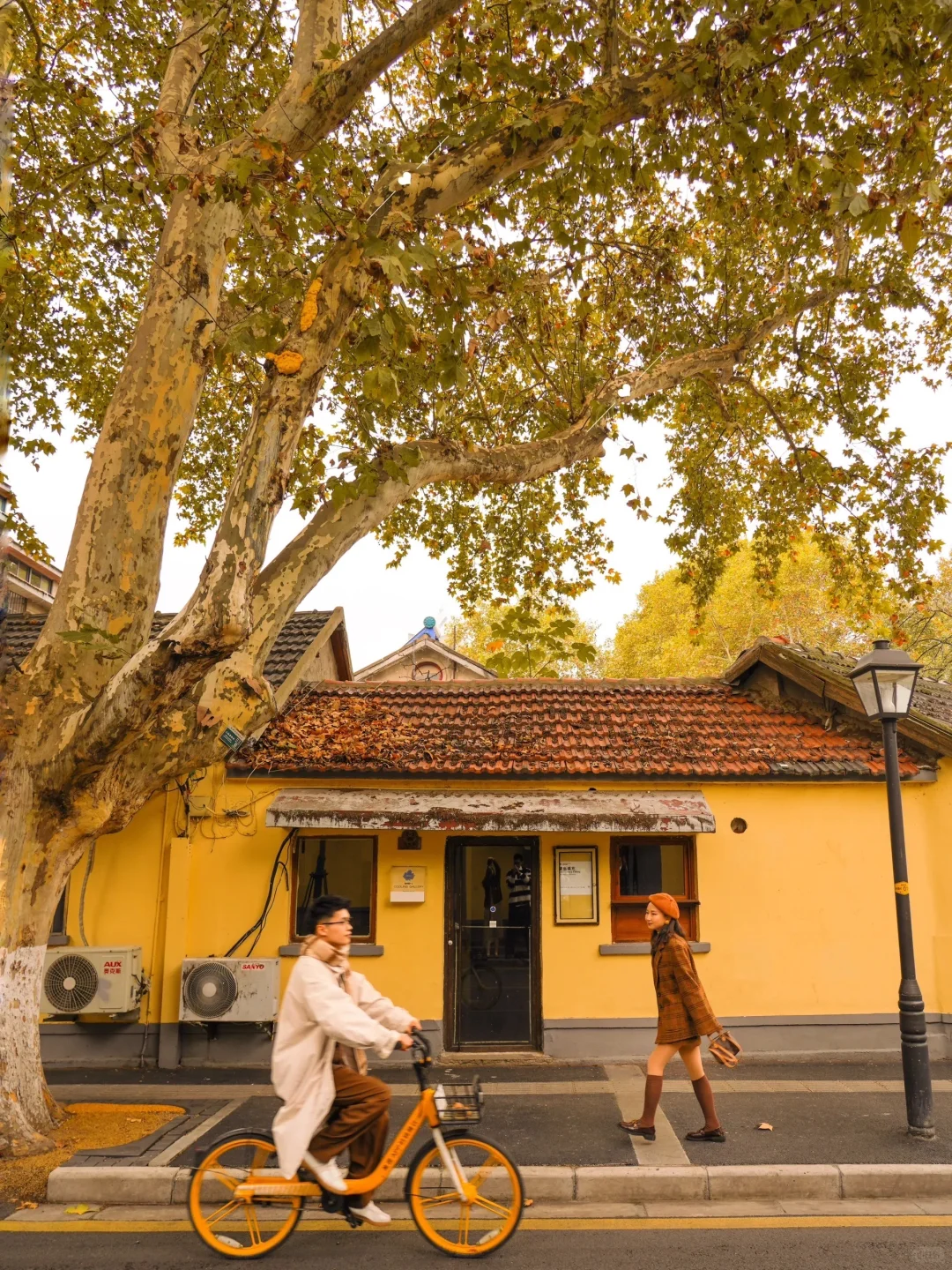 我宣布❗️没有一个城市比南京更懂秋天🍂