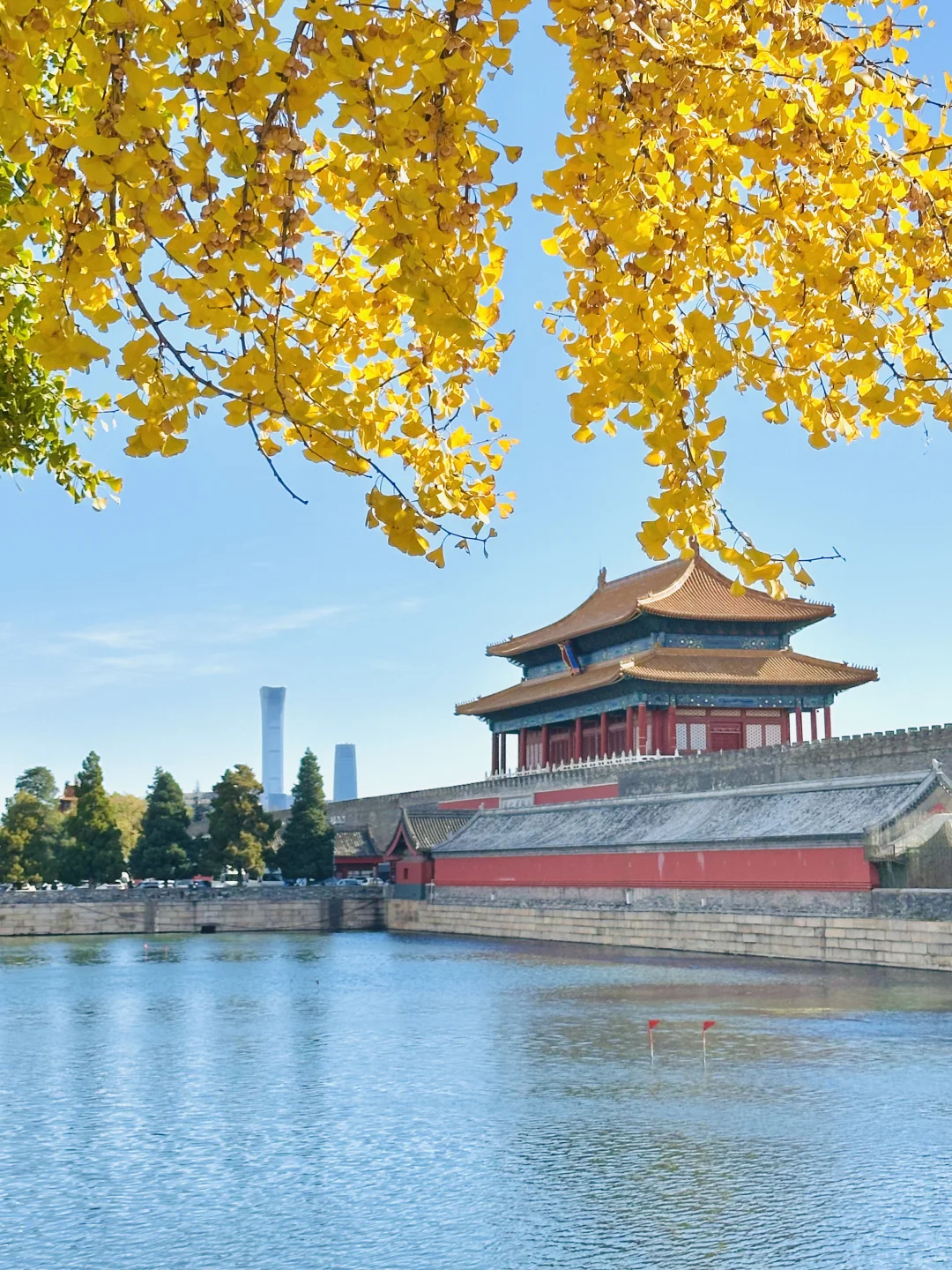 美翻天❗️18张live图看北京的秋天有多惊艳‼️