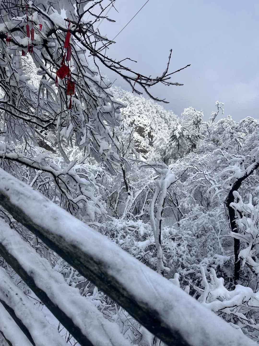 河南老君山！下雪啦！