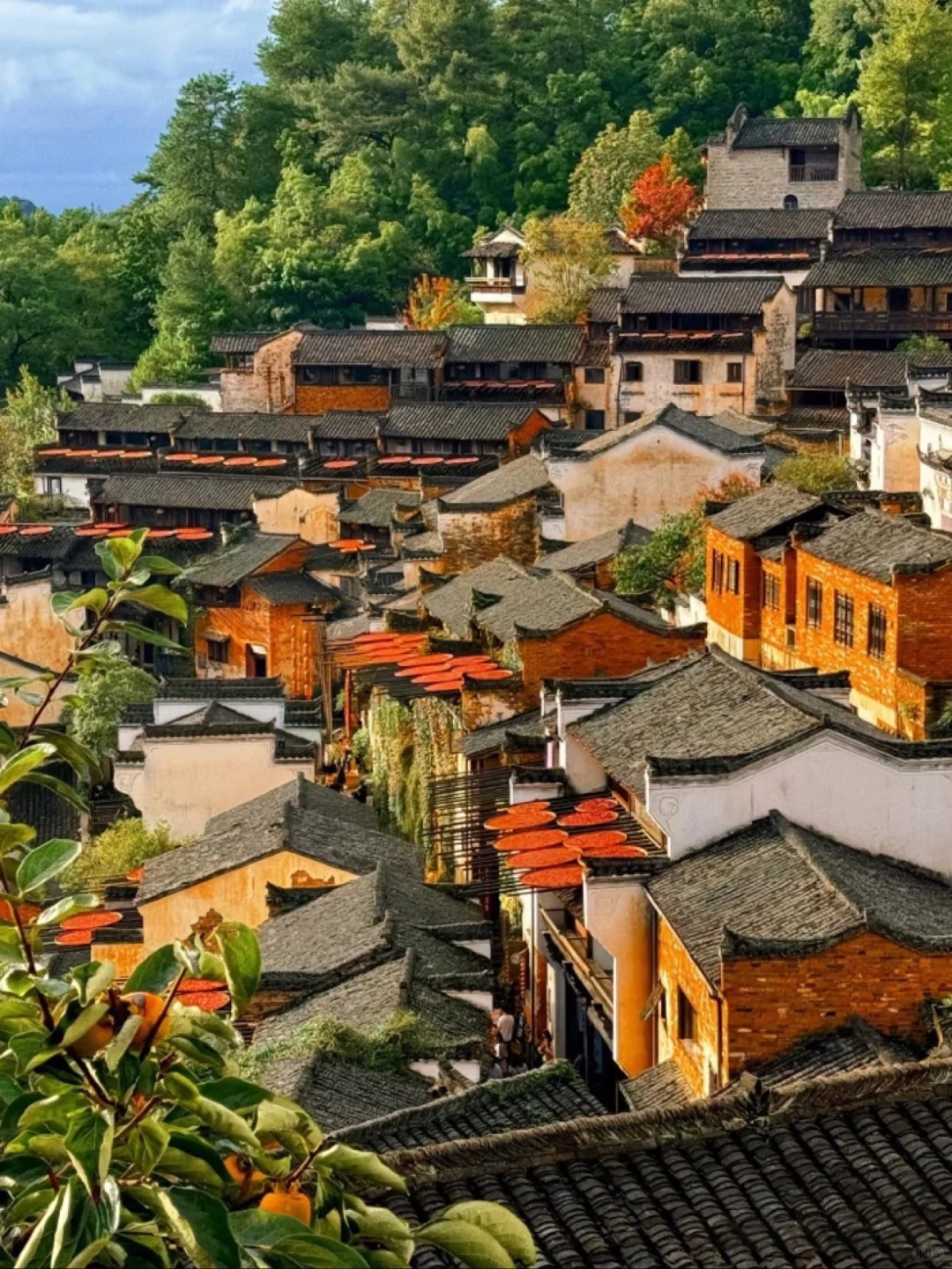 📍10.21婺源已回。。。能帮一个是一个