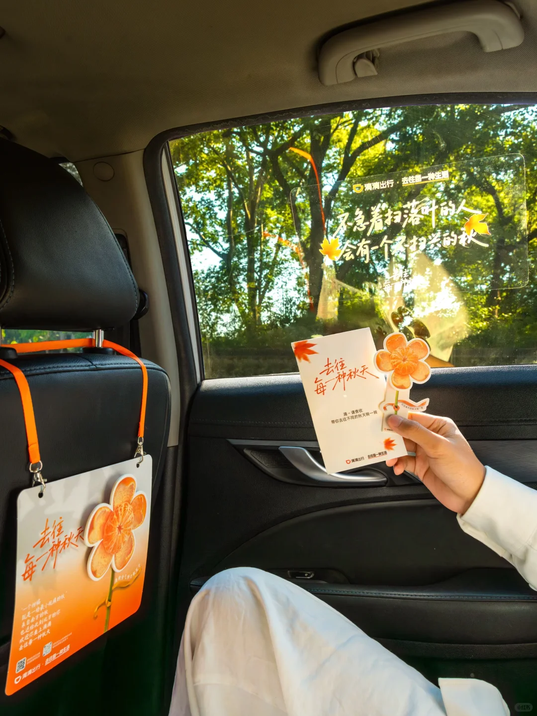 你可以永远相信北京的秋天🍁与浪漫不期而遇