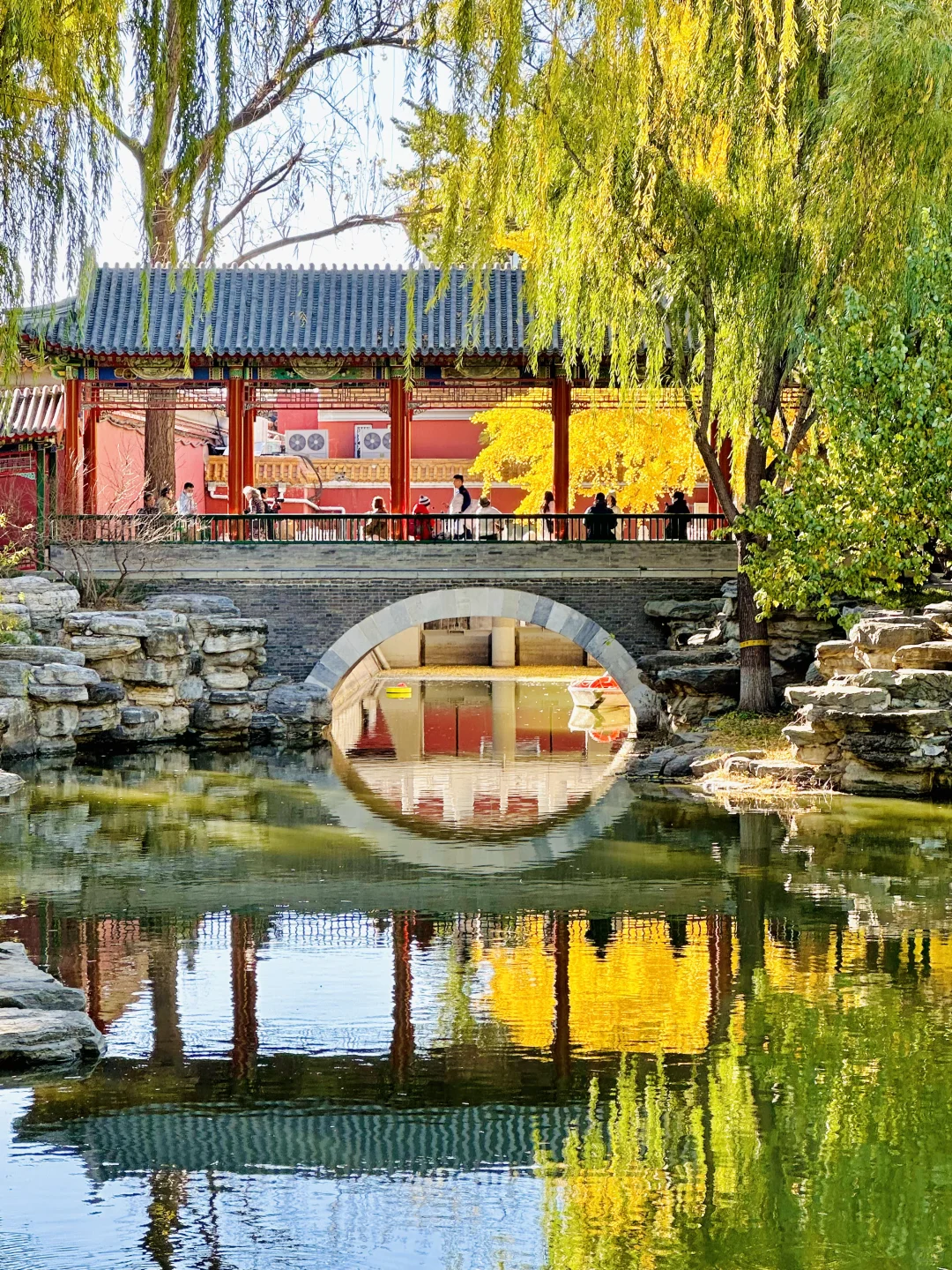 美翻天❗️18张live图看北京的秋天有多惊艳‼️