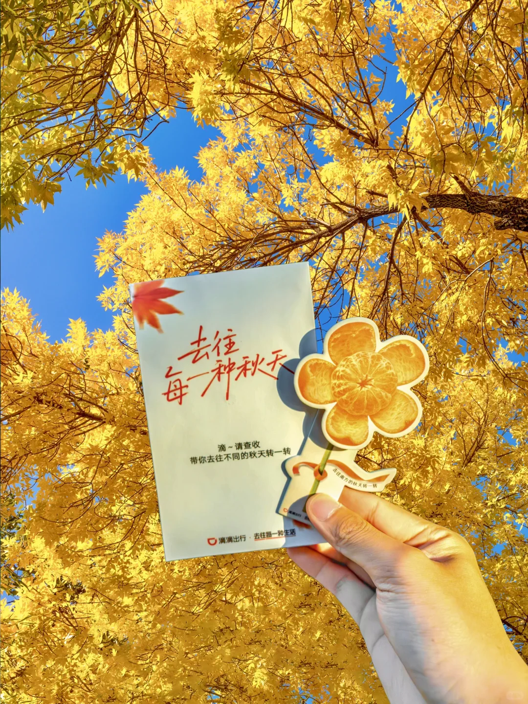 你可以永远相信北京的秋天🍁与浪漫不期而遇