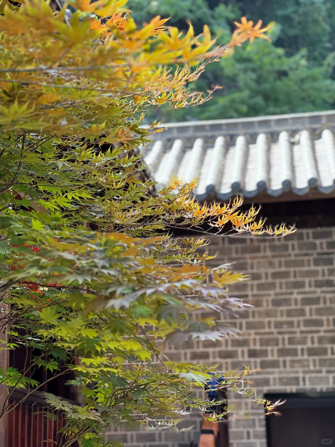 武当山琼台中观图片