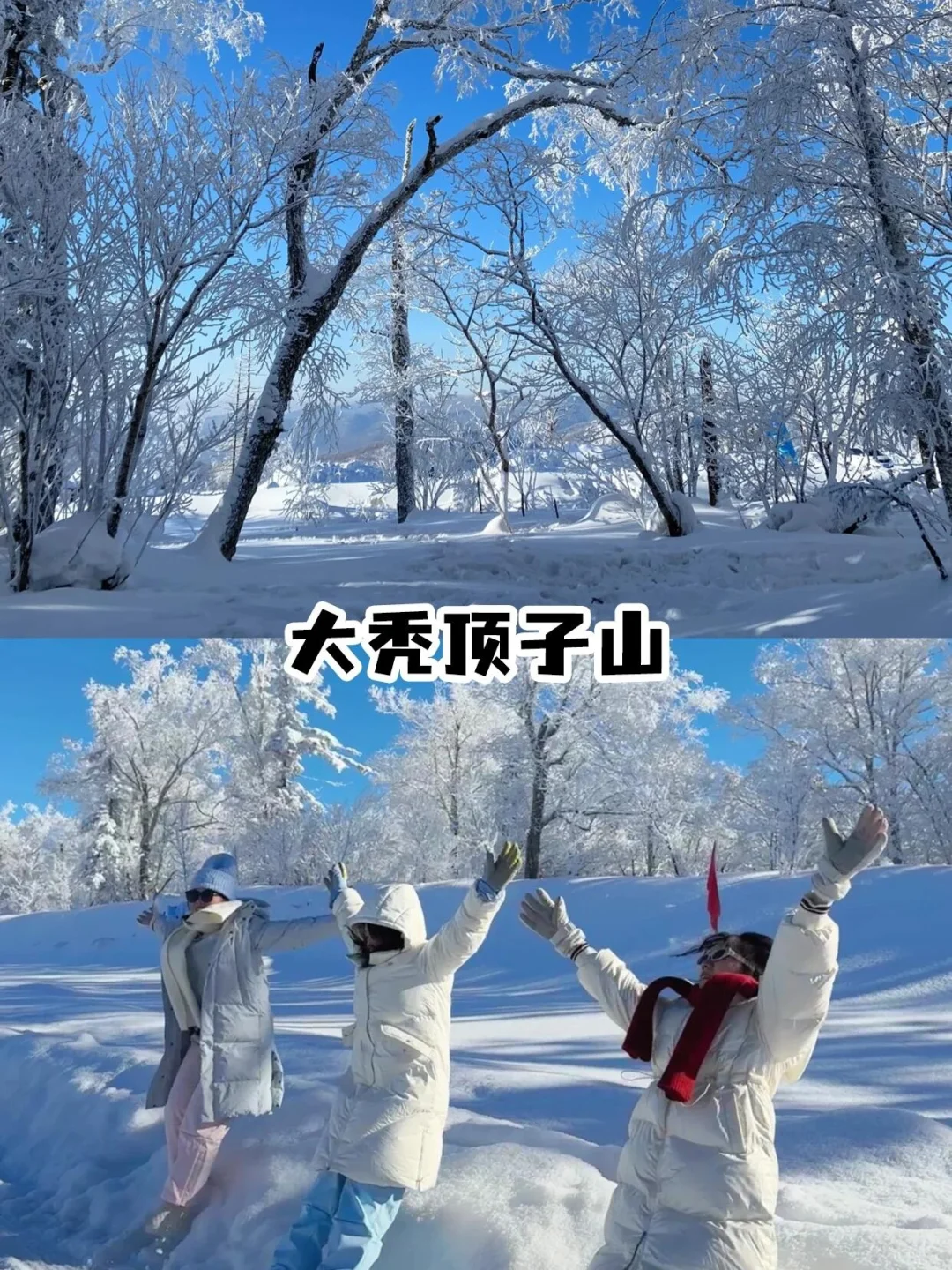 哈尔滨❗亚布力❗雪乡❗5日深度游❄️