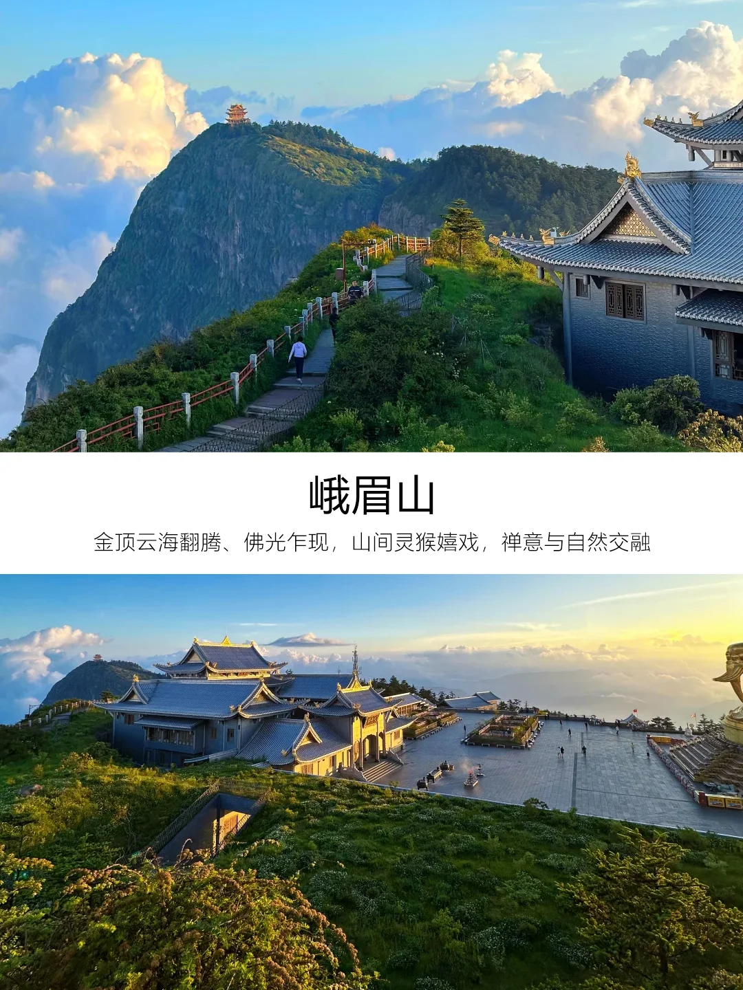 九寨沟3天跟团游｜懒人福音，说走就走