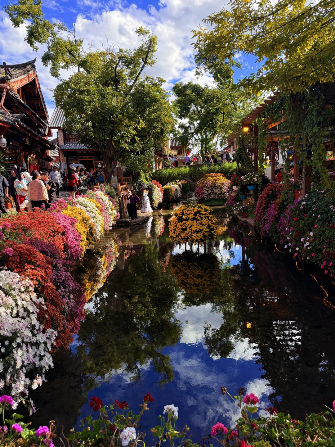 丽江 | 10月古城美的像幅画一样✨