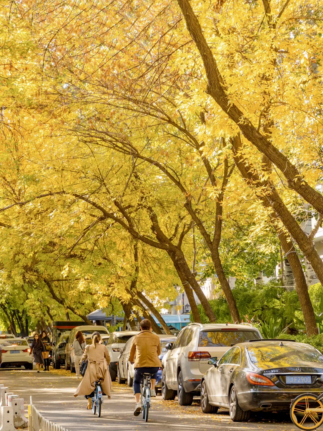 你可以永远相信北京的秋天🍁与浪漫不期而遇