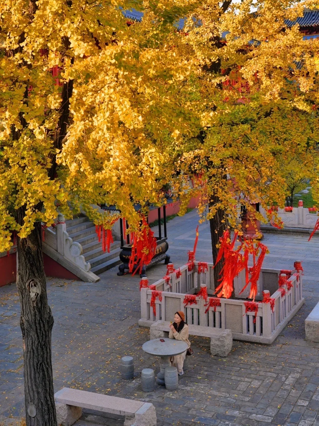 我宣布❗️没有一个城市比南京更懂秋天🍂