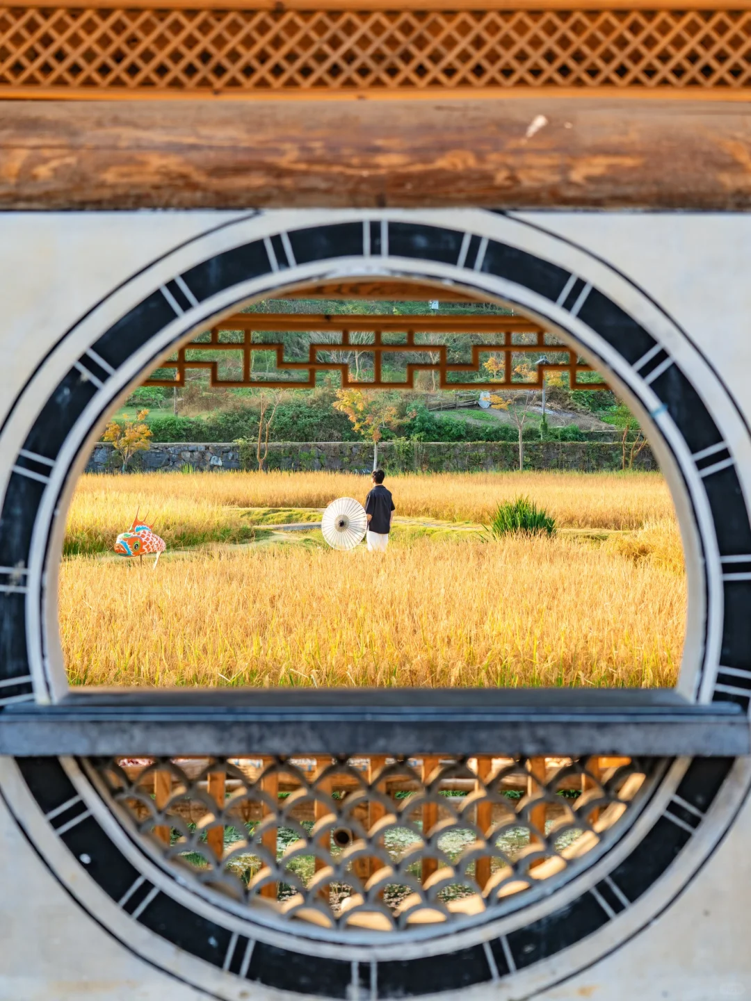 迄今为止😭我Z喜欢的秋日小城，真怕他太火🔥