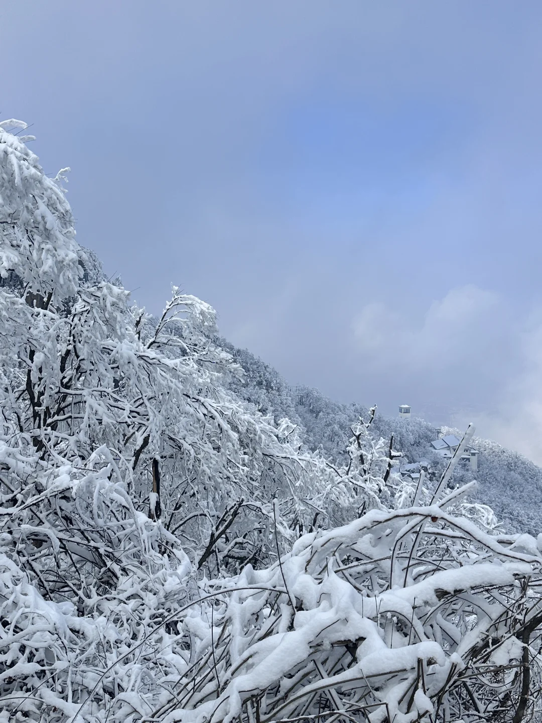 河南老君山！下雪啦！