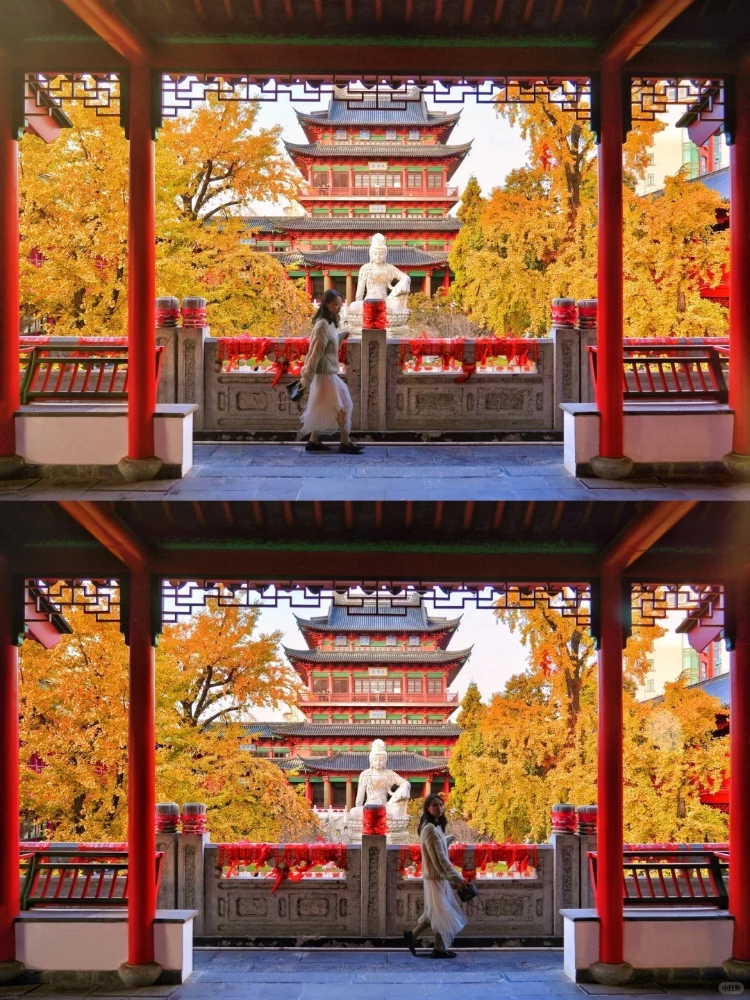 我宣布❗️没有一个城市比南京更懂秋天🍂