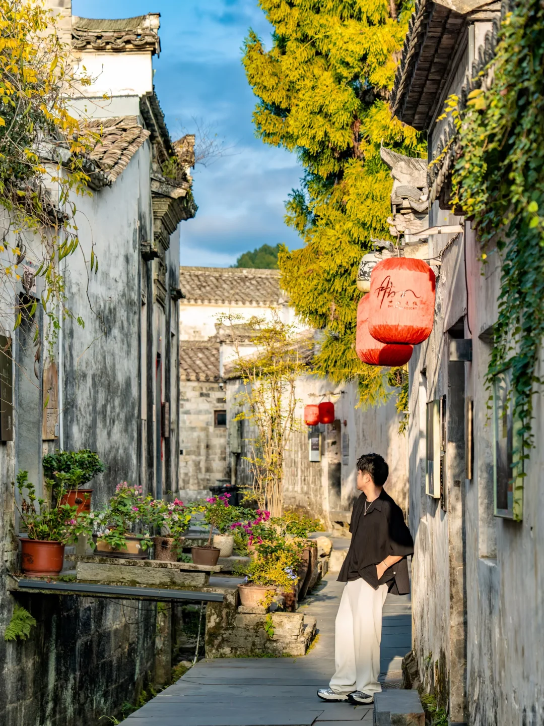 迄今为止😭我Z喜欢的秋日小城，真怕他太火🔥