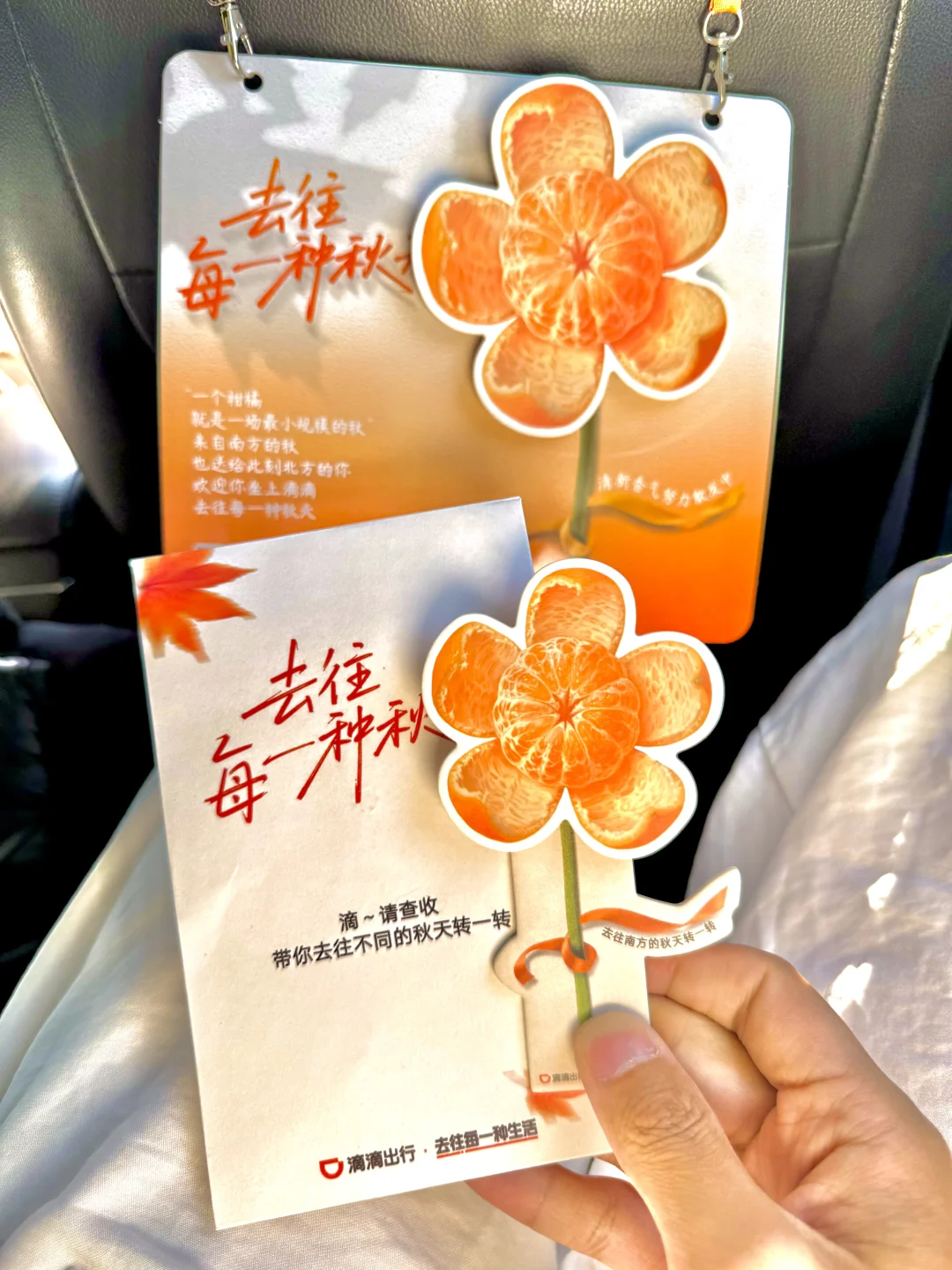 你可以永远相信北京的秋天🍁与浪漫不期而遇