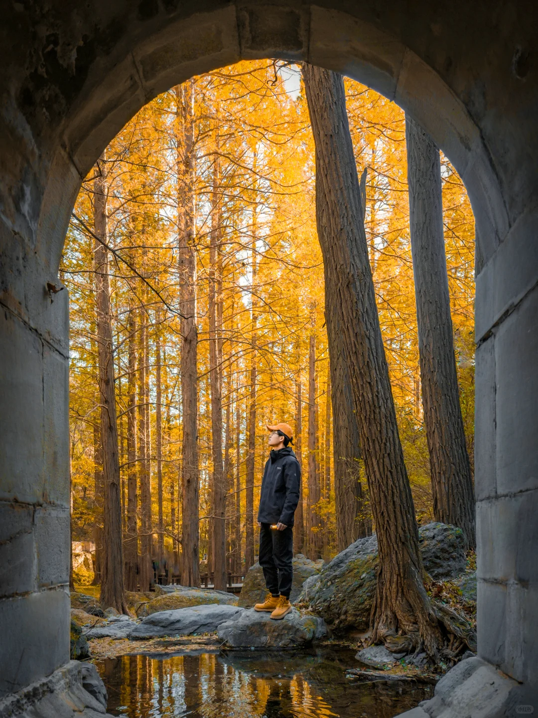 你可以永远相信北京的秋天🍁与浪漫不期而遇