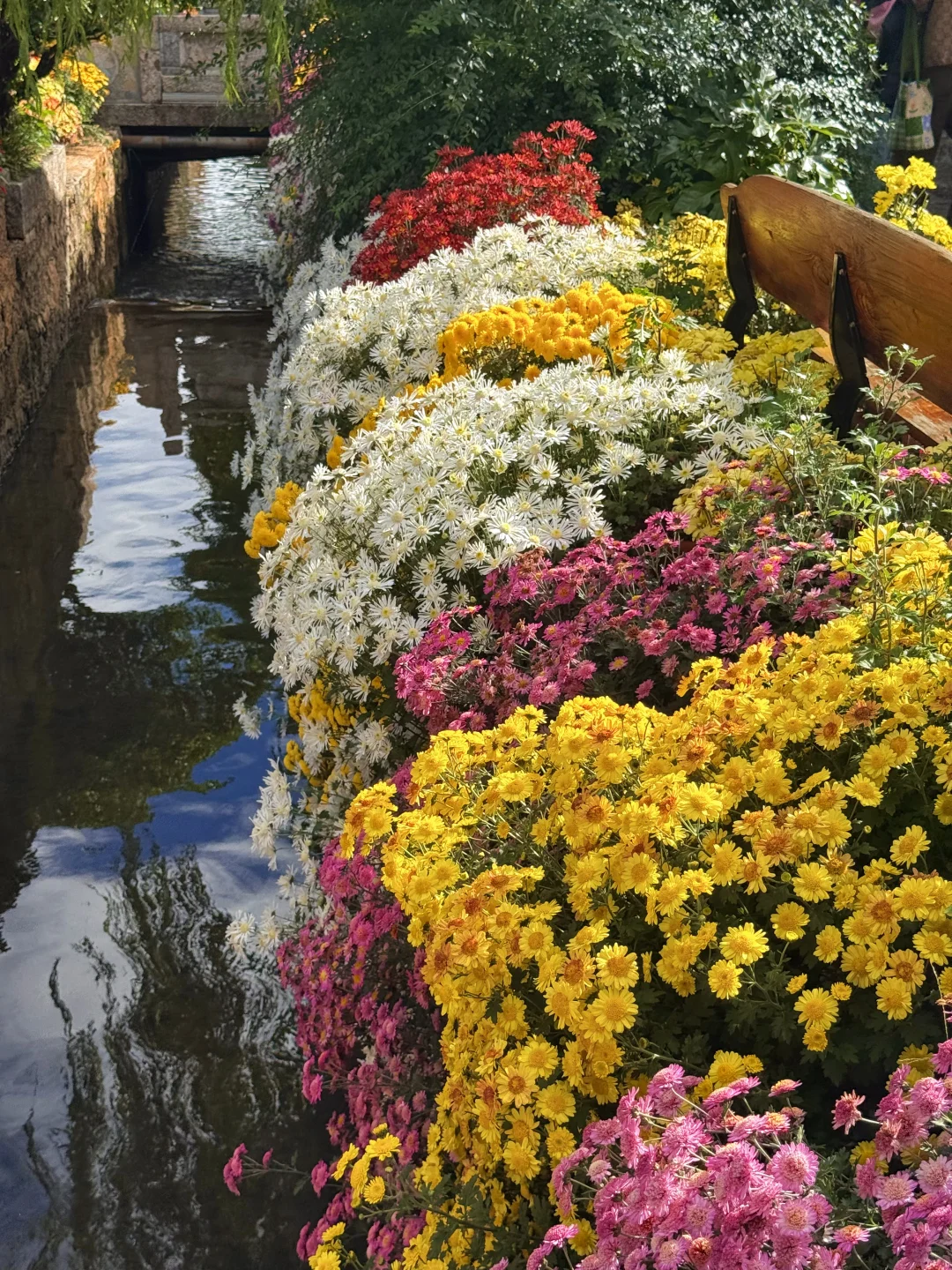 丽江 | 10月古城美的像幅画一样✨