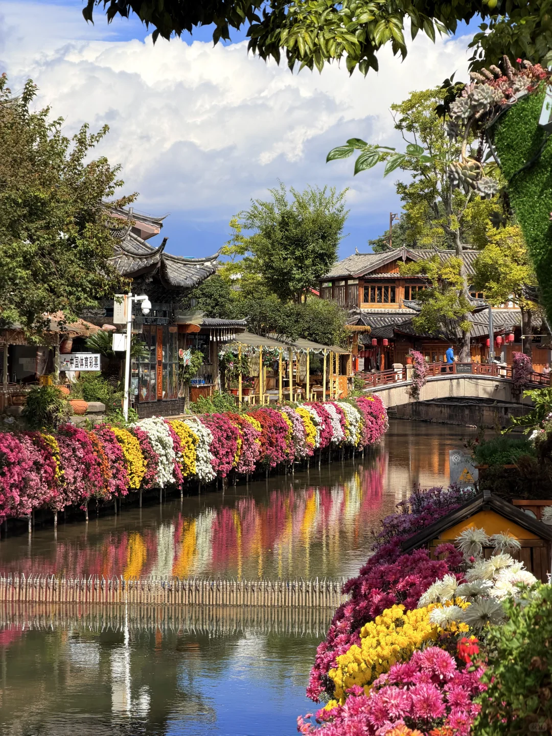 丽江10.17live实拍！！鲜花古城美疯！！！